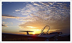 Dimona at Birdsville