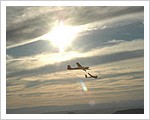 Two_Gliders.jpg