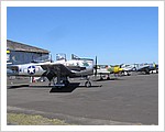 P1100011.JPG