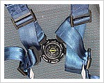 Ventus_2xT_Schroth_Glider_Harness_Seatbelts.jpg