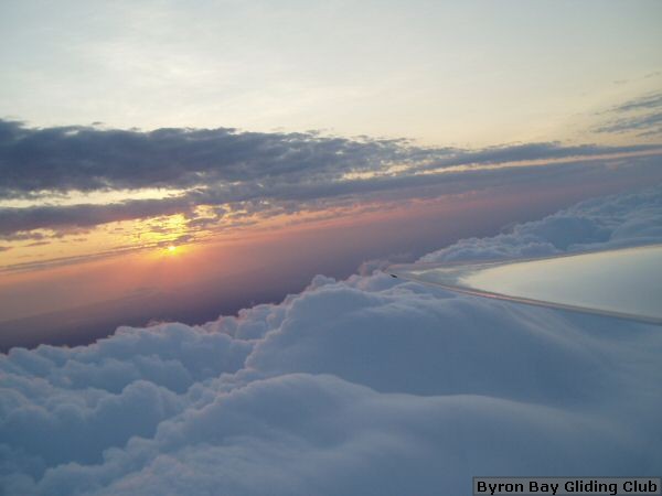 Morning_Glory_217.jpg