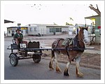 Burketown_Public_Transport_2004.jpg