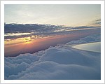 Morning_Glory_217.jpg